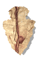Flecha-07.gif