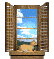 Imagen-animada-Ventana-02.gif