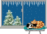 Imagen-animada-Ventana-15.gif