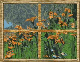 Imagen-animada-Ventana-20.gif