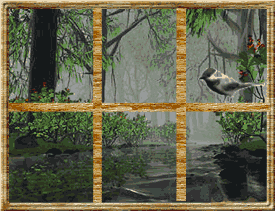 Imagen-animada-Ventana-21.gif
