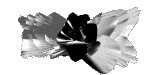 Imagen-animada-Arte-abstracto-12.gif