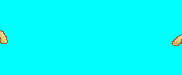 Imagen-animada-Capilla-Sixtina-04.gif
