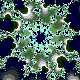 Imagen-animada-Fractal-11.gif