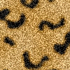 Avatar-Grafico-167.gif