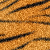 Avatar-Grafico-169.gif