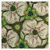 Avatar-Grafico-182.gif