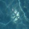 Avatar-Grafico-203.gif