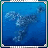 Avatar-Grafico-92.gif