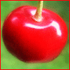 Avatar-animado-Alimento-110.gif