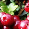 Avatar-animado-Alimento-183.gif