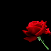 Avatar-animado-Amor-18.gif