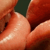 Avatar-animado-Amor-191.gif