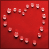Avatar-animado-Amor-292.gif