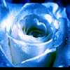 Avatar-animado-Amor-449.gif