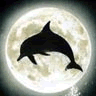 Avatar-animado-Animal-marino-04.gif
