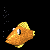 Avatar-animado-Animal-marino-15.gif