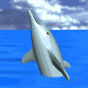 Avatar-animado-Animal-marino-26.gif