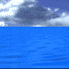 Avatar-animado-Animal-marino-36.gif