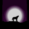 Avatar-animado-Animal-04.gif