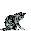Avatar-animado-Animal-08.gif