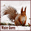 Avatar-animado-Animal-1014.gif