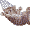 Avatar-animado-Animal-1025.gif