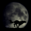 Avatar-animado-Animal-1027.gif