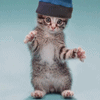 Avatar-animado-Animal-1033.gif
