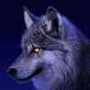 Avatar-animado-Animal-1036.gif