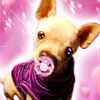 Avatar-animado-Animal-1044.gif