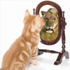 Avatar-animado-Animal-1045.gif