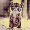 Avatar-animado-Animal-1050.gif