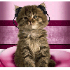 Avatar-animado-Animal-1070.gif