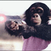 Avatar-animado-Animal-1073.gif