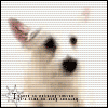 Avatar-animado-Animal-1091.gif