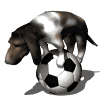 Avatar-animado-Animal-1108.gif
