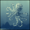 Avatar-animado-Animal-1113.gif