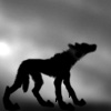 Avatar-animado-Animal-1119.gif