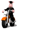 Avatar-animado-Animal-1120.gif