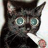 Avatar-animado-Animal-1121.gif