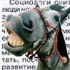 Avatar-animado-Animal-1130.gif