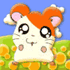 Avatar-animado-Animal-1138.gif