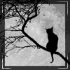 Avatar-animado-Animal-1146.gif
