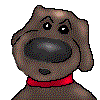 Avatar-animado-Animal-1147.gif