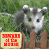 Avatar-animado-Animal-1154.gif