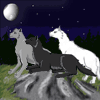 Avatar-animado-Animal-1166.gif