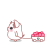 Avatar-animado-Animal-1171.gif
