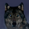 Avatar-animado-Animal-1172.gif