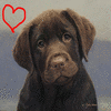Avatar-animado-Animal-1178.gif